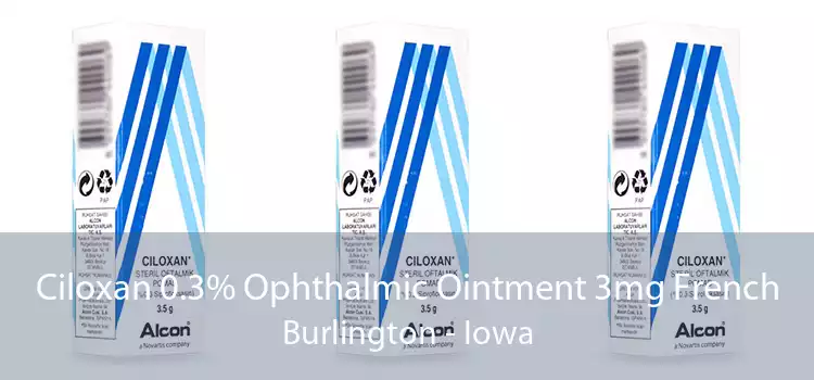 Ciloxan 0.3% Ophthalmic Ointment 3mg French Burlington - Iowa
