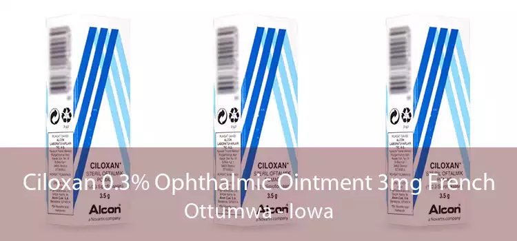 Ciloxan 0.3% Ophthalmic Ointment 3mg French Ottumwa - Iowa